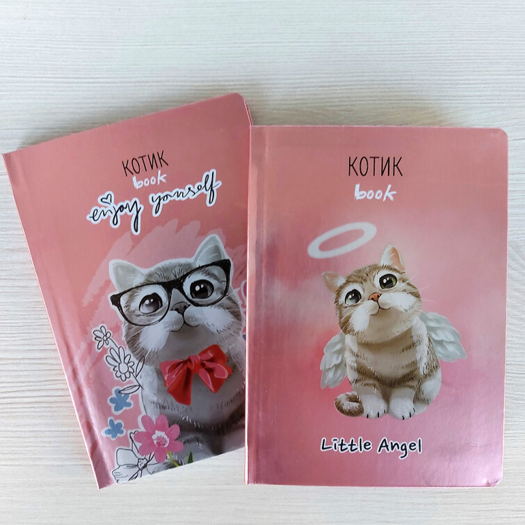 Блокноты BG формата А6 ″Котик″: котикbook милоты! Блокноты BG формата А6 ″Котик″: котикbook милоты!