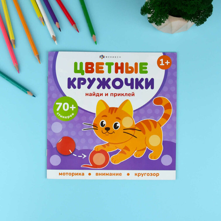 Книжка-картинка с наклейками для детей. Серия ″Цветные кружочки″ ДОМАШНИЕ ЖИВОТНЫЕ Книжка-картинка с наклейками для детей. Серия ″Цветные кружочки″ ДОМАШНИЕ ЖИВОТНЫЕ