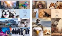 ������� ����������� ″Awesome World″: ������� ����� � ����