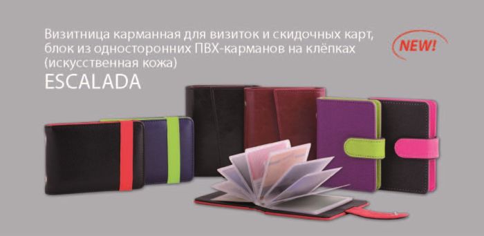 Визитницы Феникс+ Визитницы Феникс+