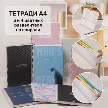 Тетради с 3-мя и 4-мя разделителями А4 на спирали от Hatber: большому функционалу - большой формат!