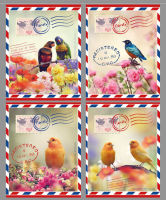 ″Birds Letter!″