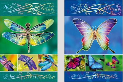 ������-������� ″Rainbow wings″: ������ ��������� �����