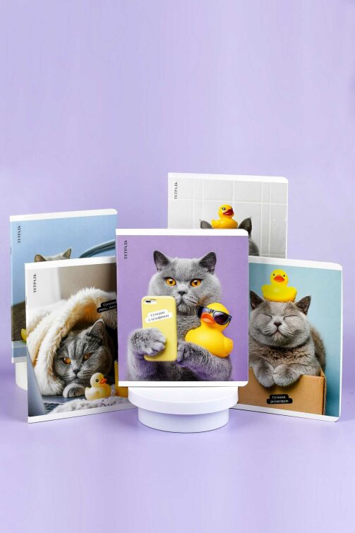 �������, �5+, 48 �, ��.���� - ������, ���������� ���� ���