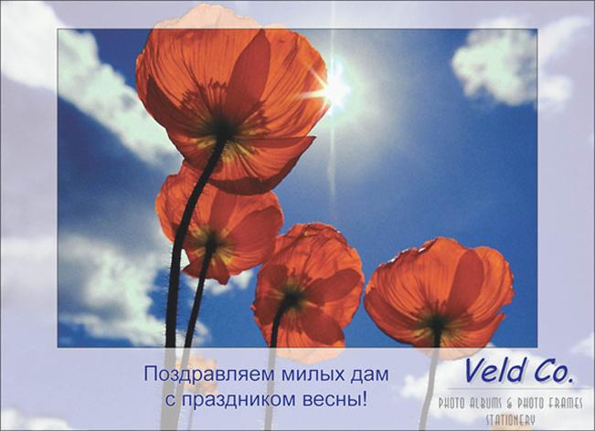 Солнце и цветы в подарок!