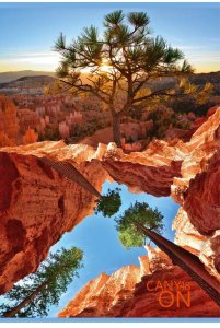 ������� ��� ������� ″CANYON″: ��� ���, ��� ������� � ����