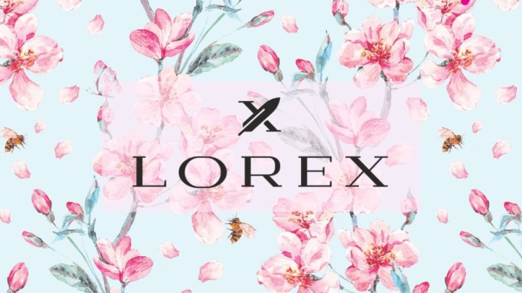 LOREX : новинки для вдохновения! LOREX : новинки для вдохновения!