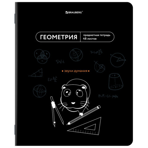 Тетрадь предметная МЕМЫ BRAUBERG, геометрия Тетрадь предметная МЕМЫ BRAUBERG, геометрия