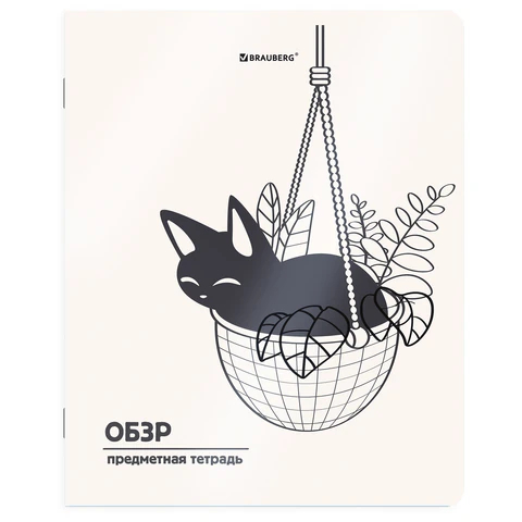 ������� ���������� BRAUBERG ″���-��������″, ����