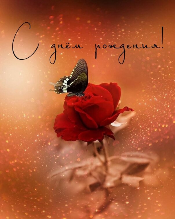 Компания «Феникс+» поздравляет с днем рождения Пак Екатерину! Компания «Феникс+» поздравляет с днем рождения Пак Екатерину!