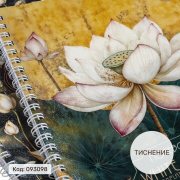 Тетради «Белый лотос» на гребне от Hatber: распускается цветок - расцветает душа! Тетради «Белый лотос» на гребне от Hatber: распускается цветок - расцветает душа!