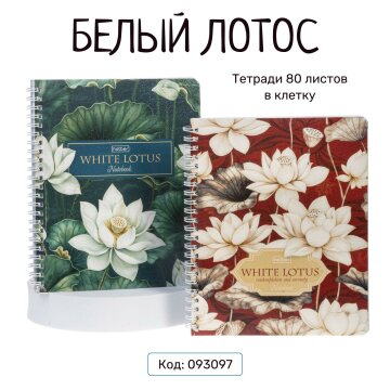 Тетради «Белый лотос» на гребне от Hatber: распускается цветок - расцветает душа! Тетради «Белый лотос» на гребне от Hatber: распускается цветок - расцветает душа!