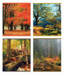 Новинка «Beautiful nature» от компании ООО «ТетраПром». Новинка «Beautiful nature» от компании ООО «ТетраПром».