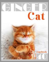 ″Red Cat!″ ″Red Cat!″