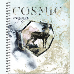 Новая коллекция тетрадей ″Cosmic Voyage″ от Компании ПОЛИНОМ к сезону 2021 года Новая коллекция тетрадей ″Cosmic Voyage″ от Компании ПОЛИНОМ к сезону 2021 года