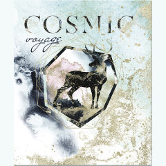Новая коллекция тетрадей ″Cosmic Voyage″ от Компании ПОЛИНОМ к сезону 2021 года Новая коллекция тетрадей ″Cosmic Voyage″ от Компании ПОЛИНОМ к сезону 2021 года