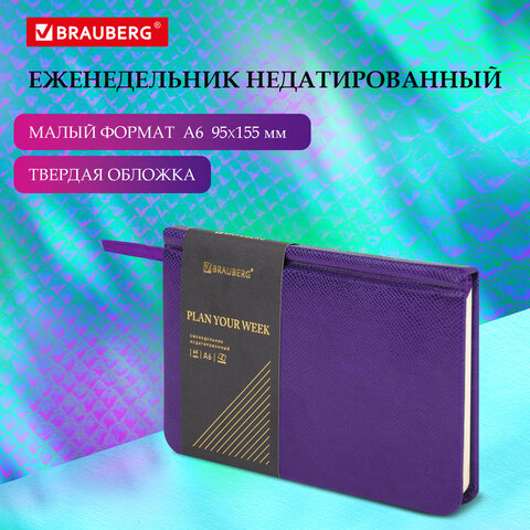 ������������ �������������� BRAUBERG ″Iguana″, ������ �6