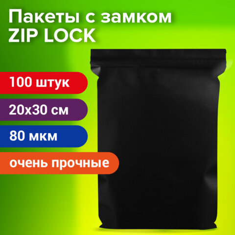 ������ ZIP-LOCK BRAUBERG, 100 ����