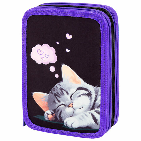 Пенал BRAUBERG ″Sleeping kitten″ Пенал BRAUBERG ″Sleeping kitten″