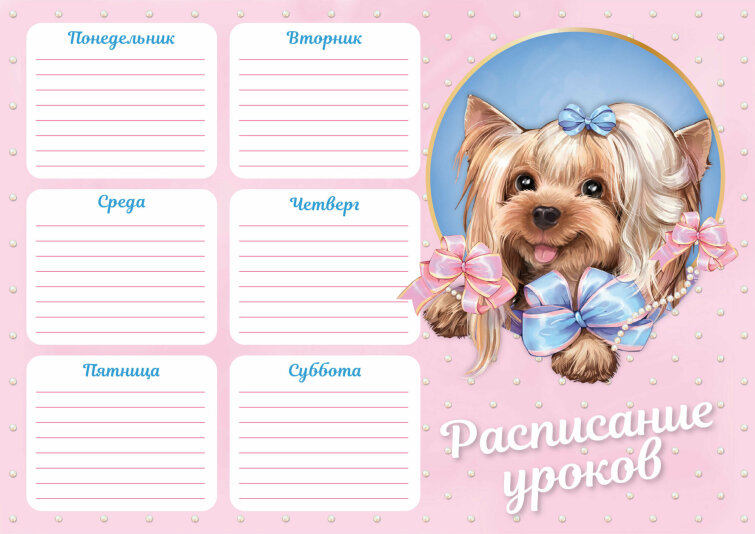 Расписание уроков Расписание уроков