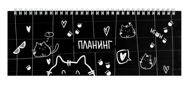 Планинг недатированный, 290х100 мм, 64 листов, гребень по длинной стороне, глянцевая ламинация