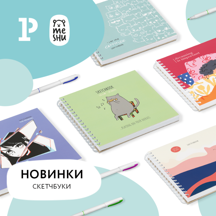 ���� ���������� � ��������� MESHU
