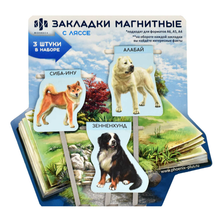 Набор закладок-ляссе Набор закладок-ляссе