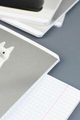 Тетрадь, А5+, 48 л, вн.блок - клетка, выборочный УФ-лак, мягкий переплёт (2 скобы) Тетрадь, А5+, 48 л, вн.блок - клетка, выборочный УФ-лак, мягкий переплёт (2 скобы)