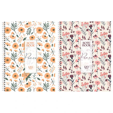 ������� �4 ″��������� �������″ BRAUBERG