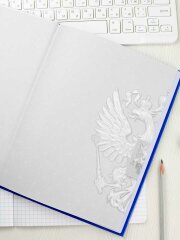 Дневник российского школьника, А5+, 48 л, арт. 71011 Дневник российского школьника, А5+, 48 л, арт. 71011