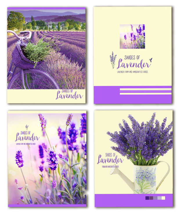 Тетрадь общая ″Lavender″: нескромное очарование Прованса Тетрадь общая ″Lavender″: нескромное очарование Прованса