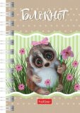 Записные книжки Hatber: А7 формат. Записные книжки Hatber: А7 формат.