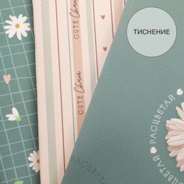 ��������� ������� �� Hatber: ���������� � �������� ����� � �����!