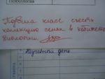 Красной пастой в дневнике Красной пастой в дневнике