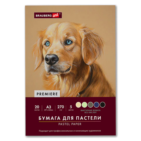 Бумага для пастели А3, в папке, BRAUBERG ART, 20 листов, 5 цветов Бумага для пастели А3, в папке, BRAUBERG ART, 20 листов, 5 цветов