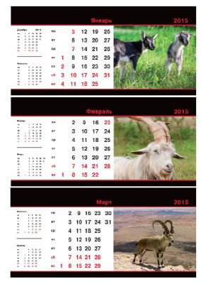 Новые яркие календари-домики на 2015 год от «Феникс+»! Новые яркие календари-домики на 2015 год от «Феникс+»!