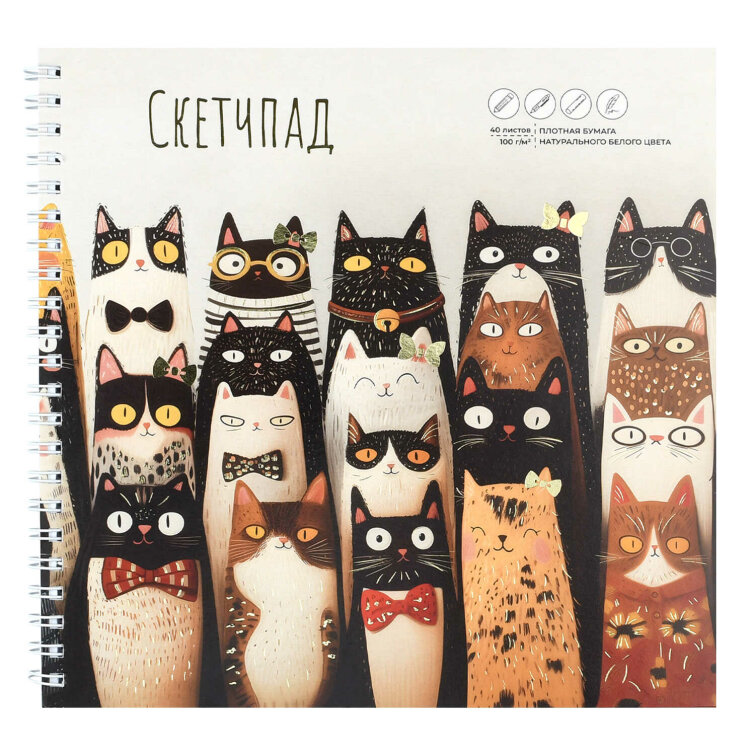    () 195195 , 40 ,  -   100 /², . 72622   /  ,    ,  