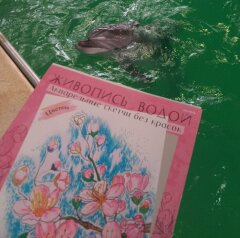 Дельфины рисуют с ПРОФ-ПРЕСС 🐬 Дельфины рисуют с ПРОФ-ПРЕСС 🐬