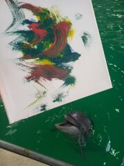 Дельфины рисуют с ПРОФ-ПРЕСС 🐬 Дельфины рисуют с ПРОФ-ПРЕСС 🐬
