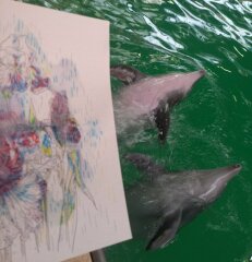 Дельфины рисуют с ПРОФ-ПРЕСС 🐬 Дельфины рисуют с ПРОФ-ПРЕСС 🐬
