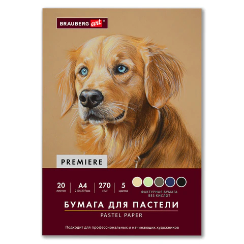 Бумага для пастели А4 в папке BRAUBERG ART, 20 листов, 5 цветов Бумага для пастели А4 в папке BRAUBERG ART, 20 листов, 5 цветов
