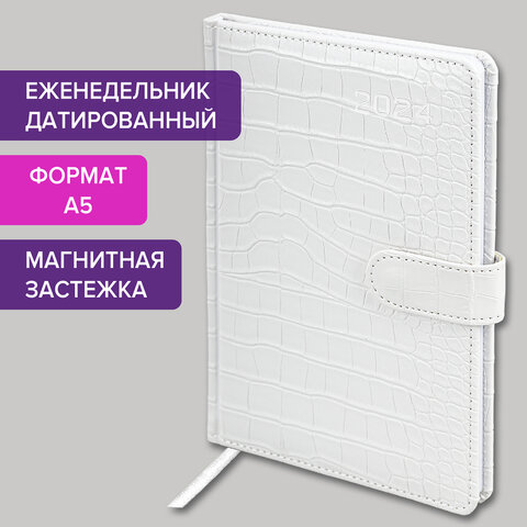 ������������ ������������ 2024 BRAUBERG ″Party″