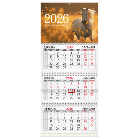 ��������� ����������� �� 2026 �. BRAUBERG, ″������ ���� 5″