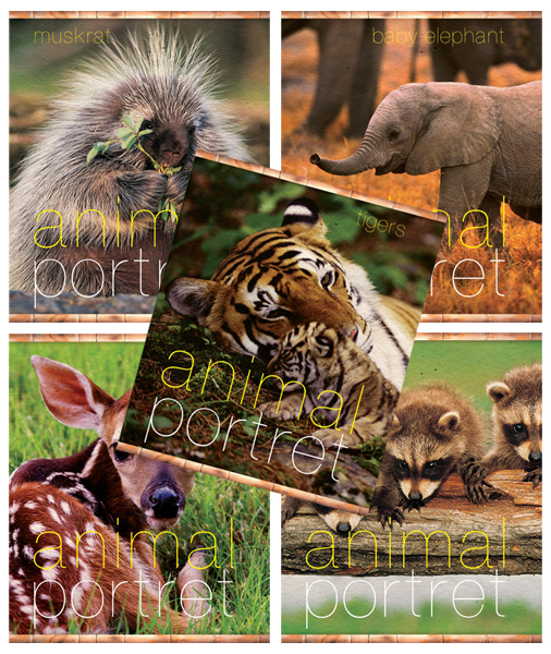 �������� ��� &laquo;���������&raquo; ���������� ������������� � �������� &laquo;Animal portret&raquo;