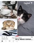 ��������� ����� �� Hatber.