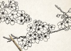 SAKURA PIGMA MICRON - ответы на частые вопросы о линерах. SAKURA PIGMA MICRON - ответы на частые вопросы о линерах.