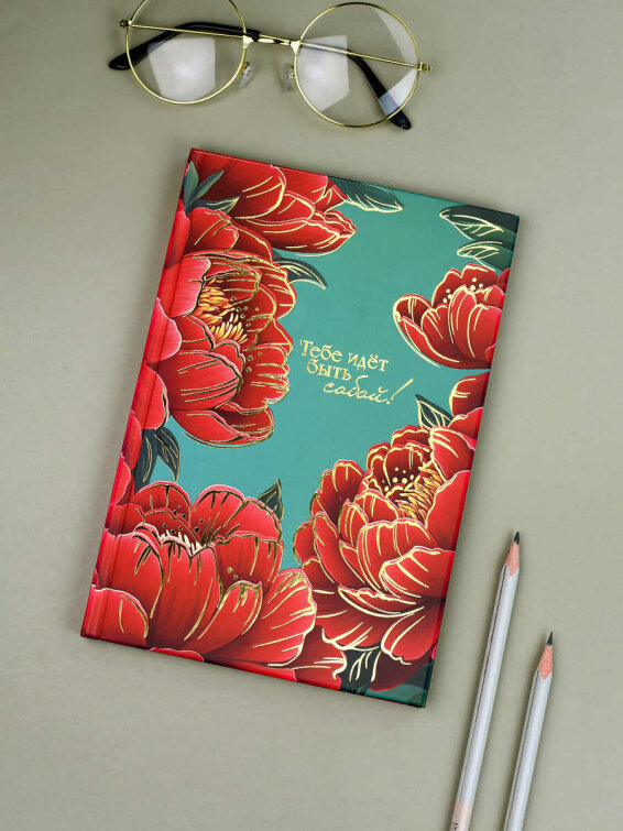   DIARY . 71553  