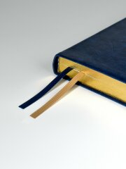   ESCALADA, #  ,  5, 160 .,  ,   ″″,  ,  