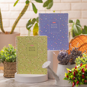 ������� &laquo;Terrazzo&raquo; �� Hatber: ������ �������� � ����!