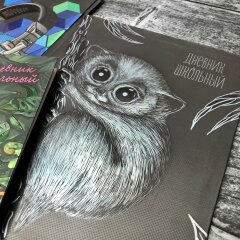 Новинка! Невероятно стильная серия школьных дневников от Феникс+! Новинка! Невероятно стильная серия школьных дневников от Феникс+!